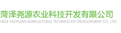 鄒城迎新建筑勞務(wù)有限公司